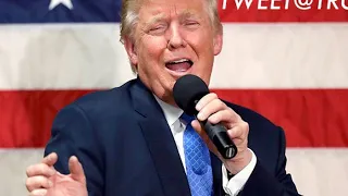 Donald trump Singing wrecking Ball