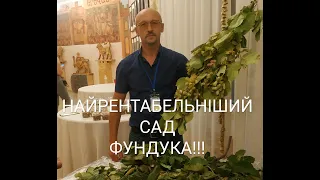 НАЙРЕНТАБЕЛЬНІШИЙ САД СЬОГОДЕННЯ!!! ФУНДУК НА ШПАЛЕРІ ВІД БАТЬКІВ САД!!! СІТКА ДЛЯ ЗБОРУ ВРОЖАЮ