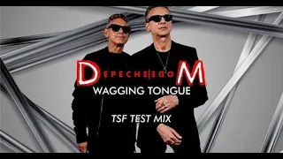 Depeche Mode - Wagging Tongue (TSF Test Mix)