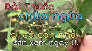 Bài Thuốc Dân Gian Chữa Ngứa Cho Trẻ Hiệu Quả Cao 👍