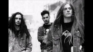 Carcass - Rot n Roll