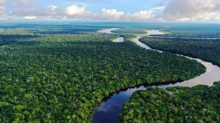 Is The Amazon River On The Brink Of Destruction?