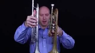 Trumpet vs Cornet: Similarities and Differences