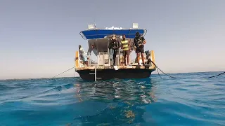Diving Hurghada with Amelie Safari, Egypt [08.10.2023]