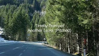 Timmy Trumpet - Another Level (pitched)