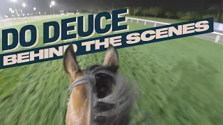 Behind The Scenes At Meydan! | Track Gallop With Japanese Dubai Turf Contender, Do Deuce ドウデュース!