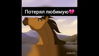 Спирит душа Прерий, потерял любимую 😭💔