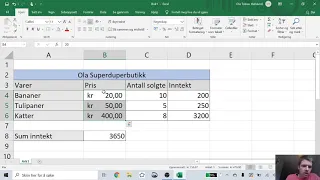 Innføring Excel