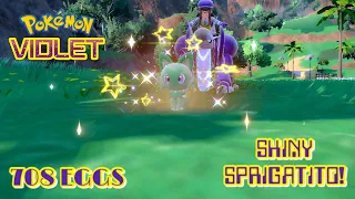 ✨Pokémon Violet: SHINY SPRIGATITO VIA THE MASUDA METHOD! (708 EGGS)✨