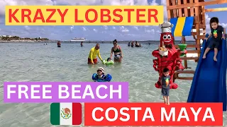 KRAZY LOBSTER FREE BEACH ACCESS in COSTA MAYA, MEXICO, GREAT for KIDS BABIES TODDLERS