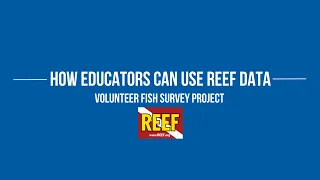 How Educators can use REEF Data