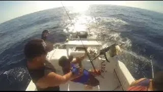 Black Marlin jumps in boat shimano stella Teamonline The Mad Huey's