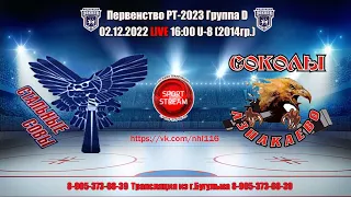 02.12.2022 СТАЛЬНЫЕ СОВЫ (Черемшан)-СОКОЛЫ (Азнакаево) LIVE 16:00 Первенство РТ U-8 (2014гр.)