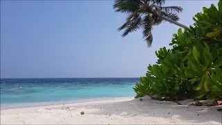 Ocean Ambience on a Tropical Island (Maldives) with Soothing Waves & Paradise View for Relaxation