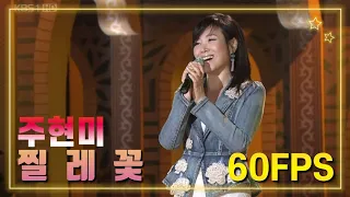 주현미 - '찔레꽃' [KBS 가요무대, 20080407] | Joo Hyun-Mi - 'Multiflora rose' LIVE