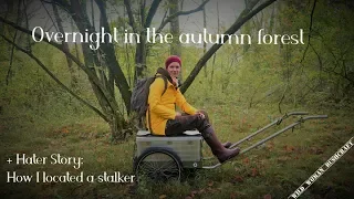 Overnight in a autumn forest  - Vanessa Blank- 4k