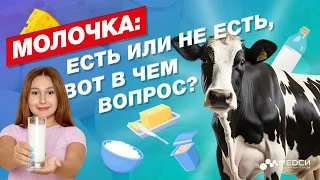 МОЛОЧКА - это вредно? // #медси