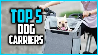 ✅ Top 5 Best Dog Carriers of 2024