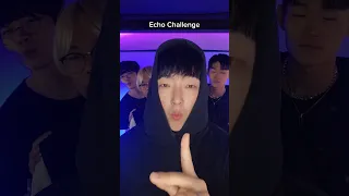 Echo Challenge #beatbox #tiktok