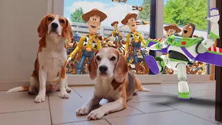 Beagles vs Buzz & Woody in REAL LIFE Animation.