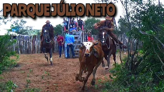 2° Pega de boi no mato no parque Júlio Neto