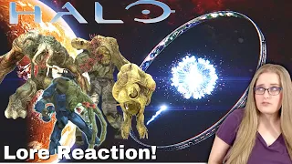 Can the Rings DESTROY the Flood!? / Halo Lore Reaction!