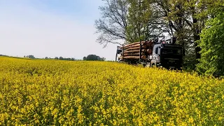 Z życia Drzewiarza. Wizyta w salonie tatuażu/test drona/Załadunek Drewna