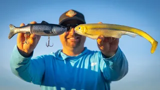 How To Catch The Biggest Bass In Your Lake - Full Seminar