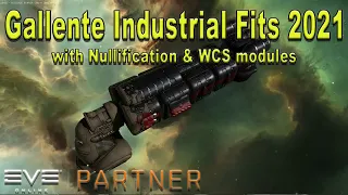 Eve Online - Gallente Hauling Ship Fits after WCS/Nullification Update 2021 - Raven Skin Giveaway!