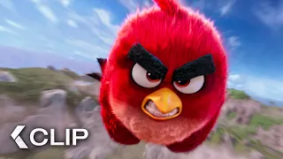 Angry Birds in a Slingshot Scene - The Angry Birds Movie (2016)