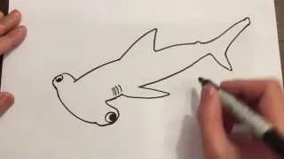Draw A Hammerhead Shark