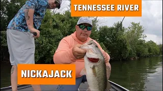 Tennessee River (Nickajack) Multi Species Bass Fishing! Largemouth, Spots, Smallmouth & Meanmouth!