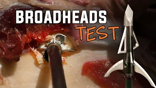 4 Blade Broadhead Tests - Heavy Duty Penetration (Bow Hunting Review)