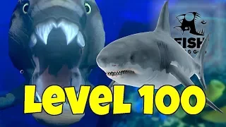 TUBARÃO BRANCO VS BROWURAG LEVEL 100 | Feed and Grow Fish