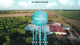 BigWalkDog - Mary Jane [Official Audio]