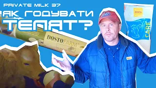 Телята на відгодівлі| Private Milk | Травецький