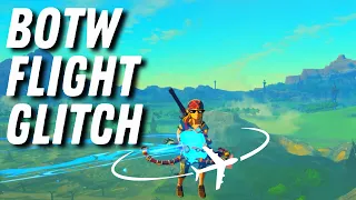 How To Do BLSS Glitch In Zelda BOTW (With Troubleshooting Tips)