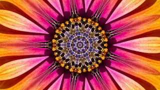 The Splendor of Flowers Kaleidoscope Video Beta v1 - 75 Minutes of Peace - A Jubilee for All Nations