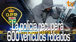 🚨🇨🇦 600 vehículos robados fueron recuperados por la policia en el puerto de Montreal