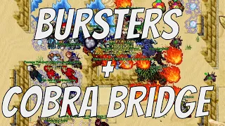 Tibia War - Funera - Retro Hardcore Pvp - Bursters + Cobra's Bridge