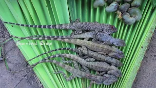 Primitive Technology: Find Lizard in forest - Cooking lizard eating delicious