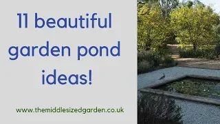 The best garden pond ideas - from private, famous and show gardens