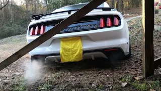 2016 mustang gt california special comp stage 3 cams(e85 cold start)