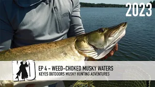 Weed-choked muskie waters - Keyes Outdoors Musky Hunting Adventures