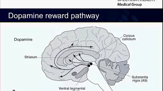 Substance Use Disorders