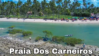 Praia Dos Carneiros Pernambuco Acesso Público E Muitas Dicas