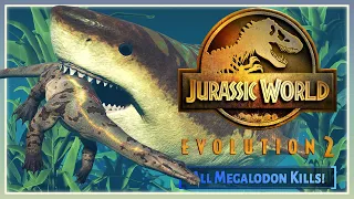 ALL Megalodon Kill Animations! | Jurassic World Evolution 2 Park Managers Collection Pack