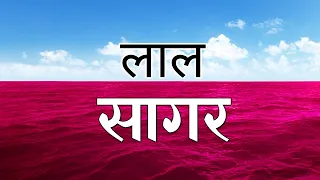 लाल सागर के रहस्य और जानकारी! Lal Sagar Ki Jankari | Red Sea Documentary in Hindi