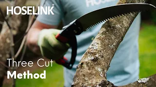 The Secret to Using a Pruning Saw with Ben Hayman | How-to Garden Series | Episode 6