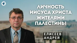 Личность Иисуса Христа жителями Палестины. Елисеев А.Н. Проповедь МСЦ ЕХБ